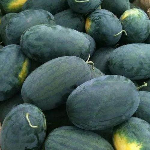 湖北网红吃瓜事件,揭秘网络舆论的风暴与真相  第1张