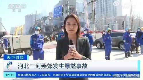 美国名记者爆料视频大全,真实与真相的碰撞  第1张